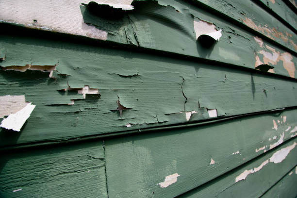 Best Residential Junk Removal  in Platte City, MO