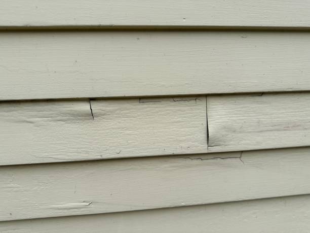 Best Same-Day Junk Removal Services  in Platte City, MO